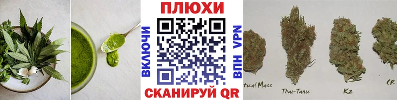Купить закладки  Кувандык  Cannafood марихуана 