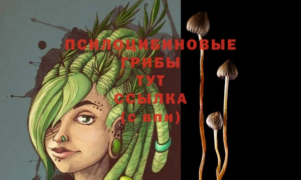 соль курить ск Бугульма