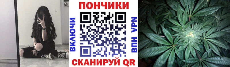 Бошки марихуана индика Кувандык
